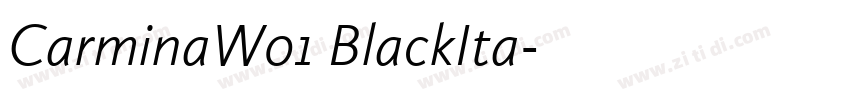 CarminaW01 BlackIta字体转换